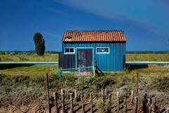 3-Oleron-20254-carre-2255