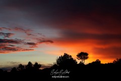 portugal-2019-0740