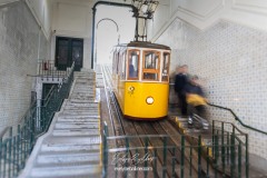 portugal-2019_9808