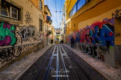 portugal-2019_9835-psd