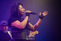 RED-BEANS-2025-FAUVILLE-2600