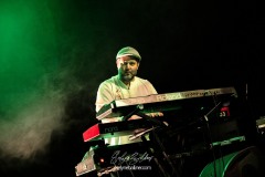 rod-taylorthe-positive-roots-band-la-traverse-2026-0369