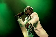 rod-taylorthe-positive-roots-band-la-traverse-2026-0373