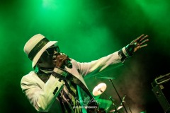 rod-taylorthe-positive-roots-band-la-traverse-2026-0376