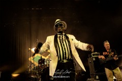 rod-taylorthe-positive-roots-band-la-traverse-2026-0385