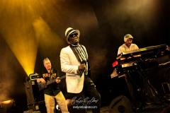 rod-taylorthe-positive-roots-band-la-traverse-2026-0394