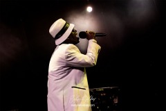 rod-taylorthe-positive-roots-band-la-traverse-2026-0458