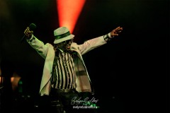 rod-taylorthe-positive-roots-band-la-traverse-2026-6091