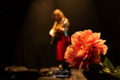 tiger-bloom-2025-tremplin-traverse-0059