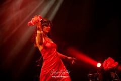 tiger-bloom-2025-tremplin-traverse-0100