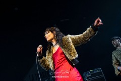 tiger-bloom-2025-tremplin-traverse-9867