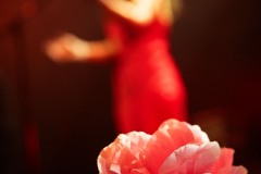 tiger-bloom-2025-tremplin-traverse-9991