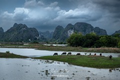 vietnam-2025-5884