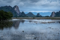 vietnam-2025-5918