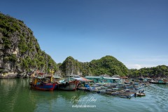 vietnam-2025-6034