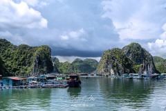 vietnam-2025-6036