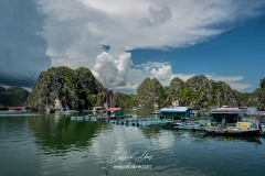 vietnam-2025-6042