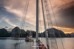 vietnam-2025-6132