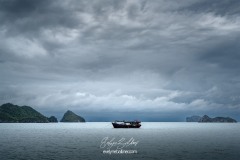 vietnam-2025-6227