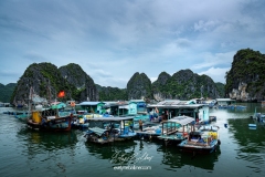 vietnam-2025-6240