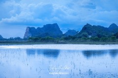 vietnam-2025-6713