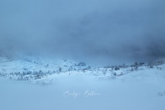 yellowstone-2024-4379