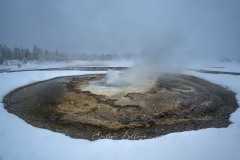 yellowstone-2024-5453
