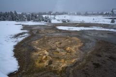 yellowstone-2024-5470