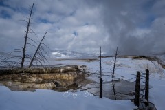 yellowstone-2024-5552