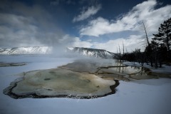 yellowstone-2024-5561