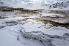yellowstone-2024-5612