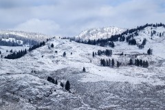 yellowstone-2024-5740-psd