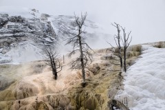 yellowstone-2024-5846